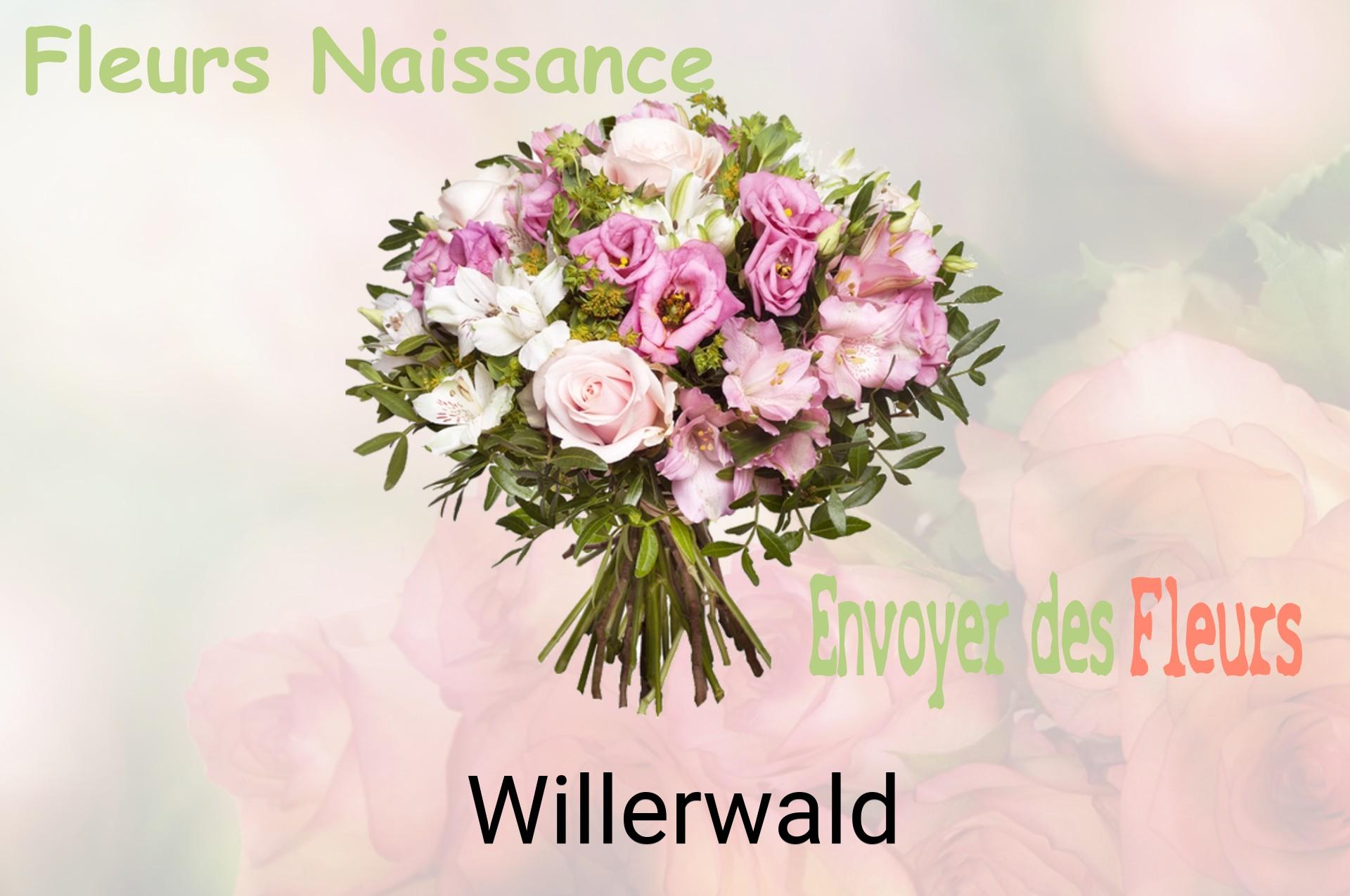 Bouquet de fleurs de naissance livré à Willerwald